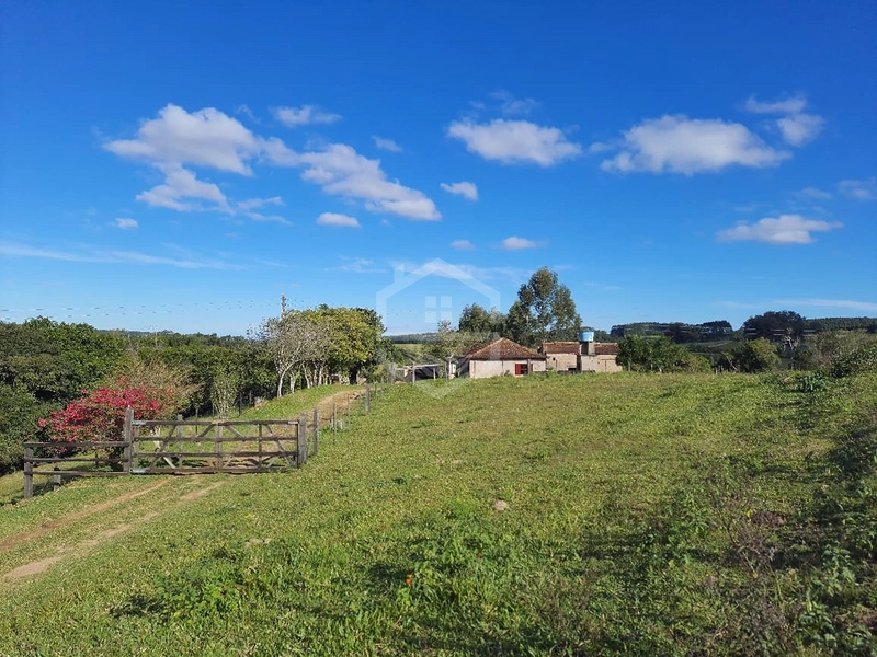 Propriedade 11km da BR-116: 1ª foto da galeria de imagens do imóvel