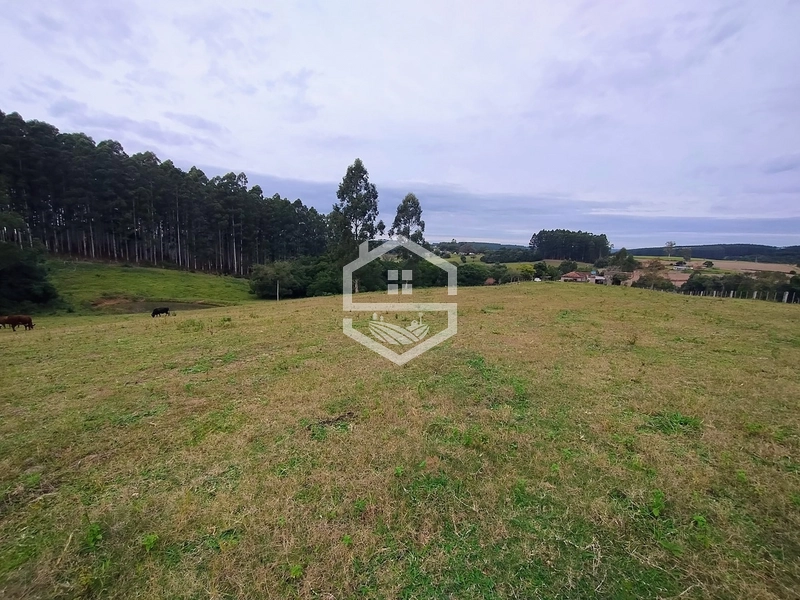 Propriedade 11km da BR-116: 5ª foto da galeria de imagens do imóvel