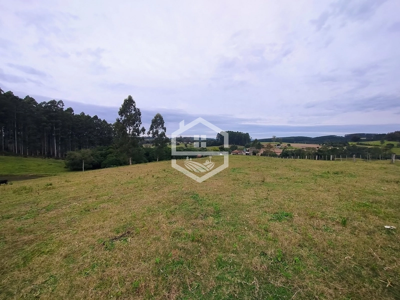 Propriedade 11km da BR-116: 4ª foto da galeria de imagens do imóvel