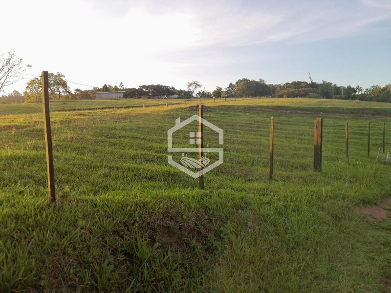 Propriedade 11km da BR-116: 14ª foto da galeria de imagens do imóvel