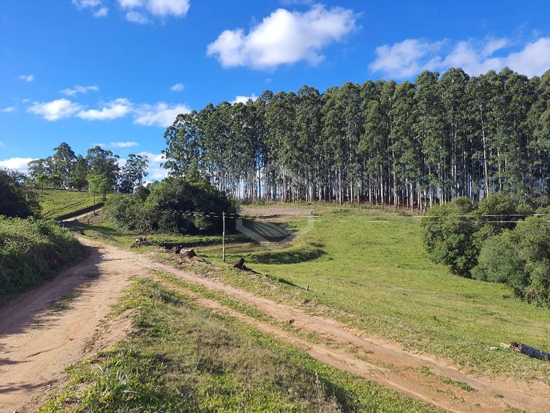 Propriedade 11km da BR-116: 3ª foto da galeria de imagens do imóvel