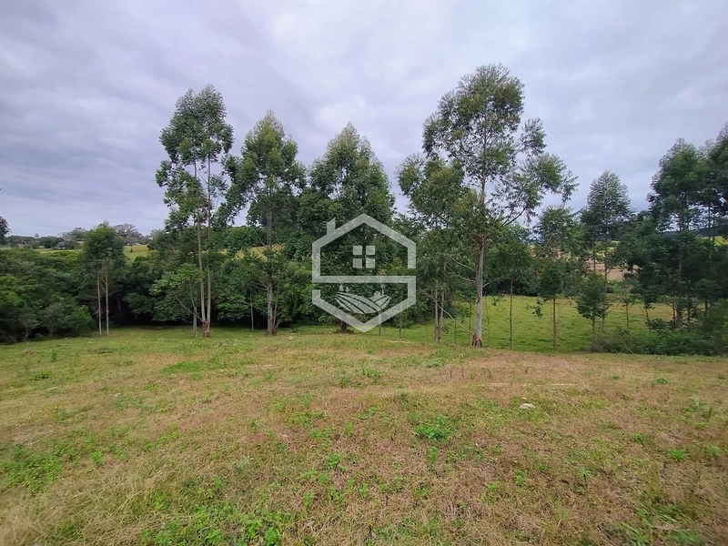 Propriedade 11km da BR-116: 7ª foto da galeria de imagens do imóvel