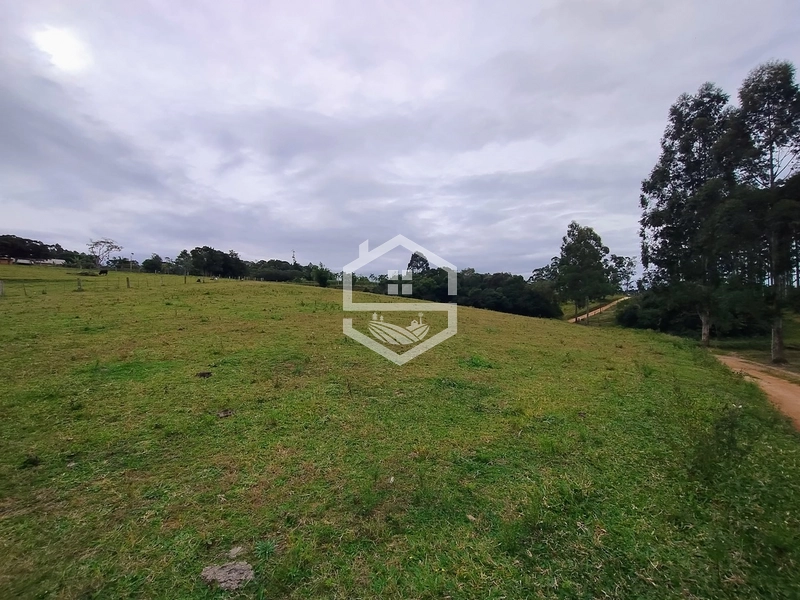 Propriedade 11km da BR-116: 1ª foto da galeria de imagens do imóvel