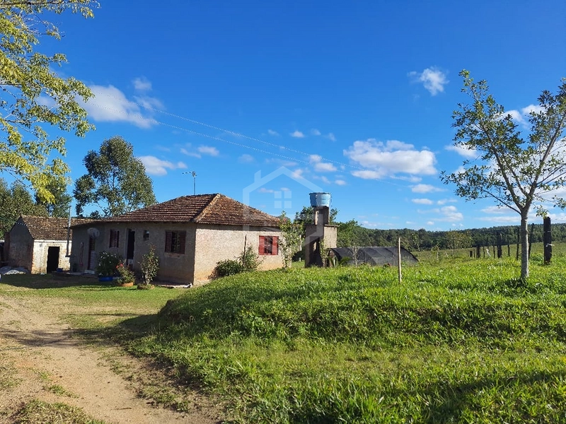 Propriedade 11km da BR-116: 2ª foto da galeria de imagens do imóvel
