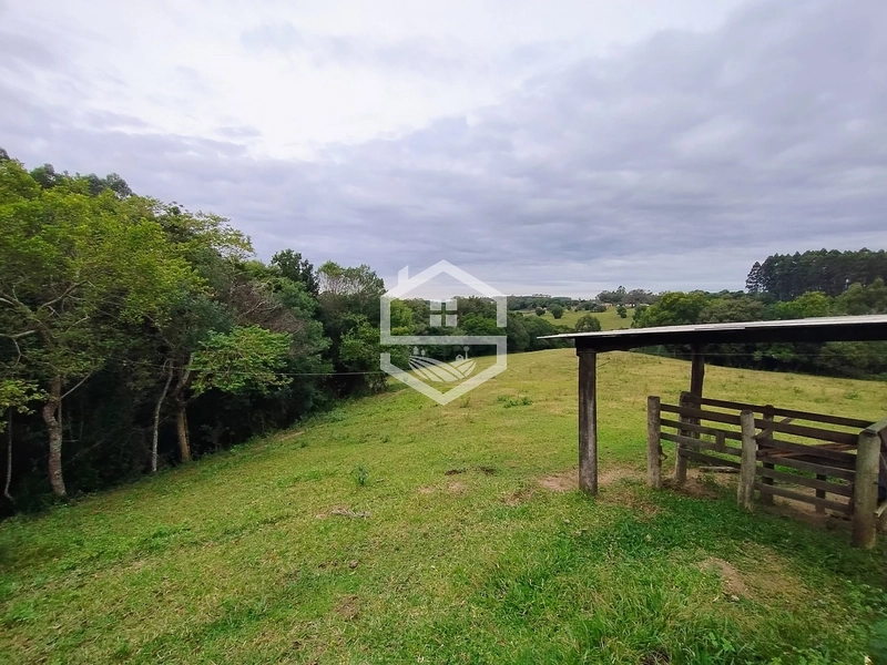 Propriedade 11km da BR-116: 2ª foto da galeria de imagens do imóvel