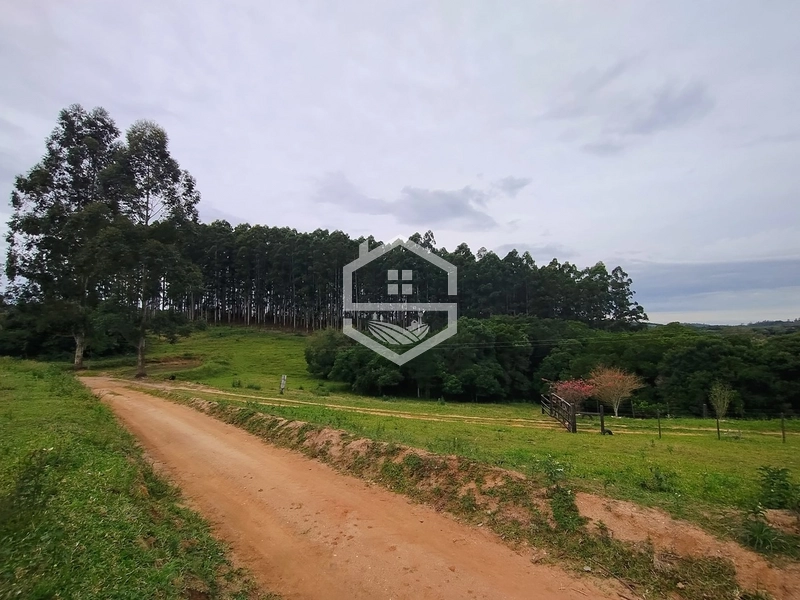 Propriedade 11km da BR-116: 6ª foto da galeria de imagens do imóvel