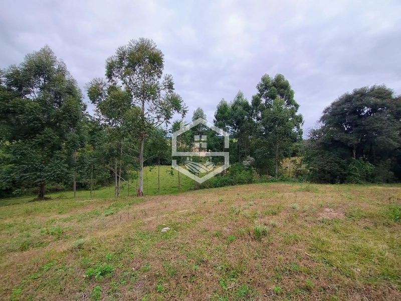 Propriedade 11km da BR-116: 9ª foto da galeria de imagens do imóvel