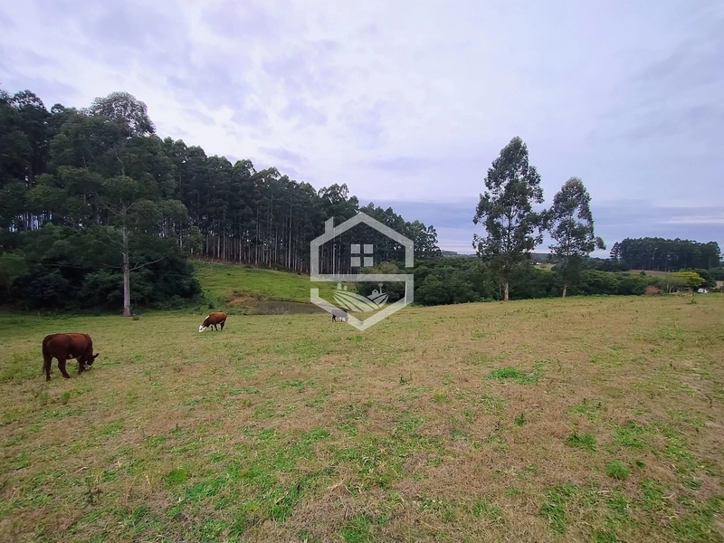 Propriedade 11km da BR-116: 3ª foto da galeria de imagens do imóvel