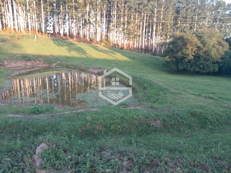 Propriedade 11km da BR-116: 15ª foto da galeria de imagens do imóvel