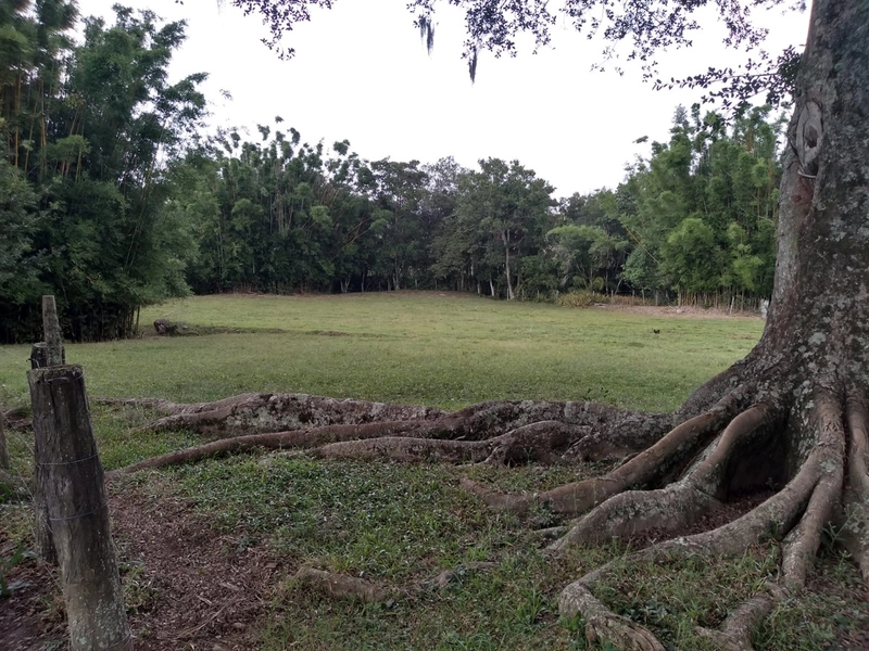 SEU SÍTIO PERTO DA CIDADE...: 2ª foto da galeria de imagens do imóvel