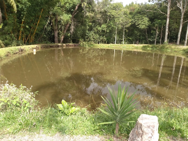 SEU SÍTIO PERTO DA CIDADE...: 9ª foto da galeria de imagens do imóvel