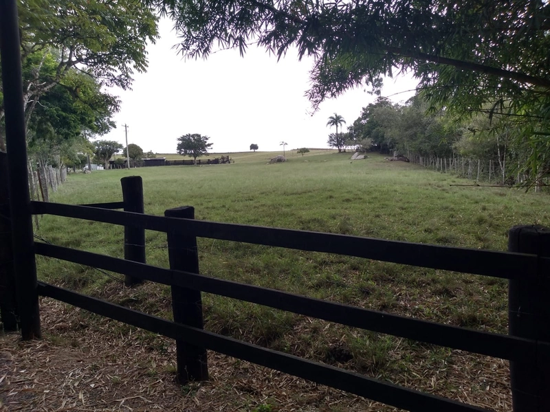 SEU SÍTIO PERTO DA CIDADE...: 4ª foto da galeria de imagens do imóvel