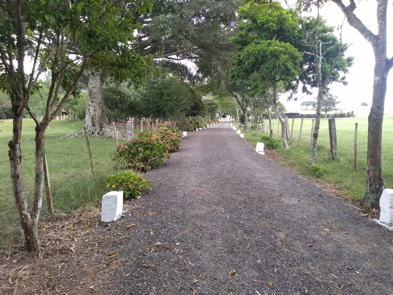 SEU SÍTIO PERTO DA CIDADE...: 3ª foto da galeria de imagens do imóvel