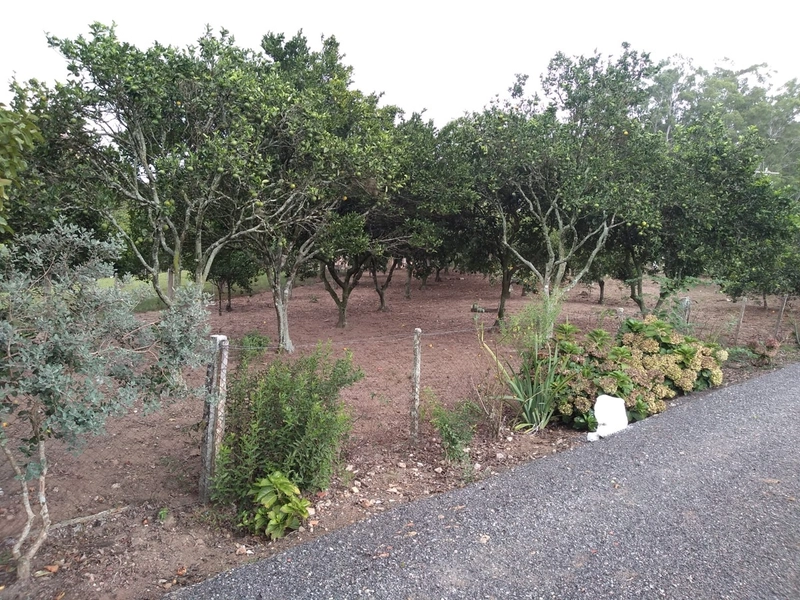 SEU SÍTIO PERTO DA CIDADE...: 13ª foto da galeria de imagens do imóvel