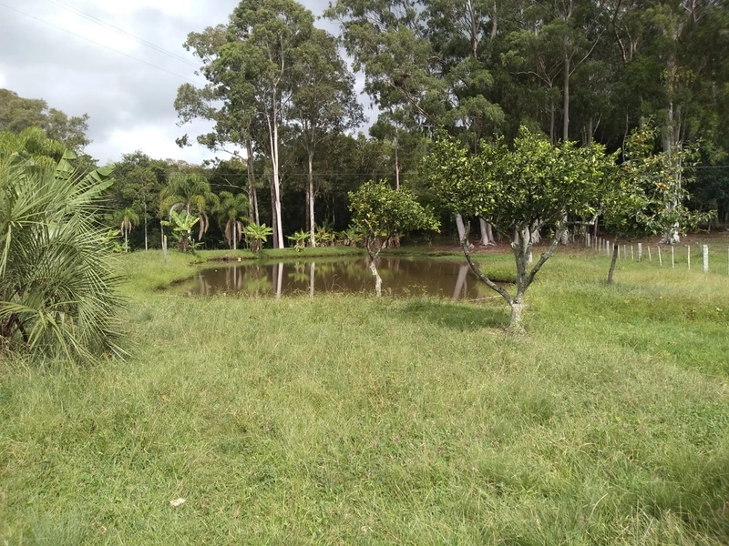 SEU SÍTIO PERTO DA CIDADE...: 10ª foto da galeria de imagens do imóvel