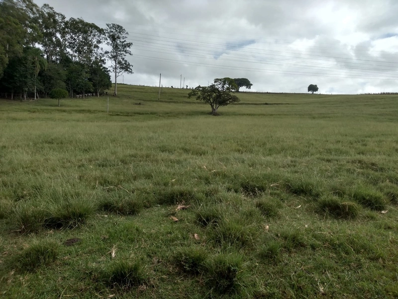SEU SÍTIO PERTO DA CIDADE...: 11ª foto da galeria de imagens do imóvel