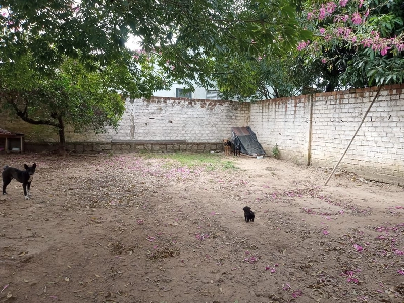 null: 19ª foto da galeria de imagens do imóvel