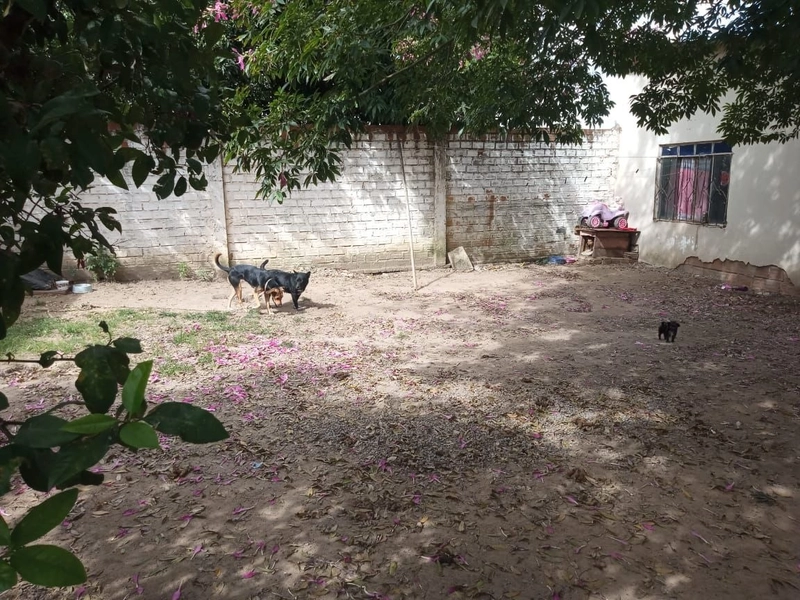 null: 18ª foto da galeria de imagens do imóvel