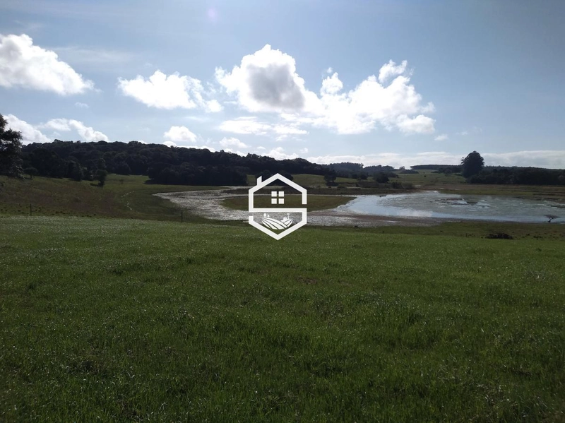 Área Rural para venda em Tapes: 5ª foto da galeria de imagens do imóvel