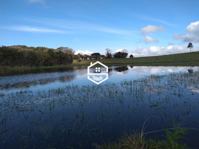 Área Rural para venda em Tapes: 1ª foto da galeria de imagens do imóvel