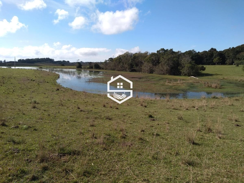 Área Rural para venda em Tapes: 4ª foto da galeria de imagens do imóvel