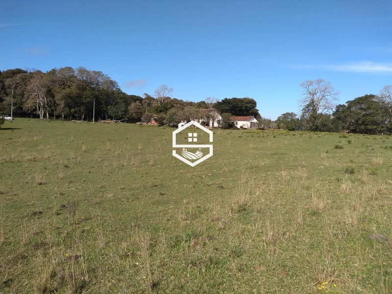 Área Rural para venda em Tapes: 6ª foto da galeria de imagens do imóvel