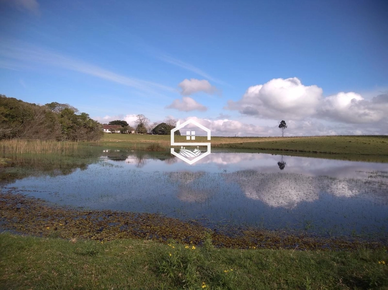 Área Rural para venda em Tapes: 8ª foto da galeria de imagens do imóvel