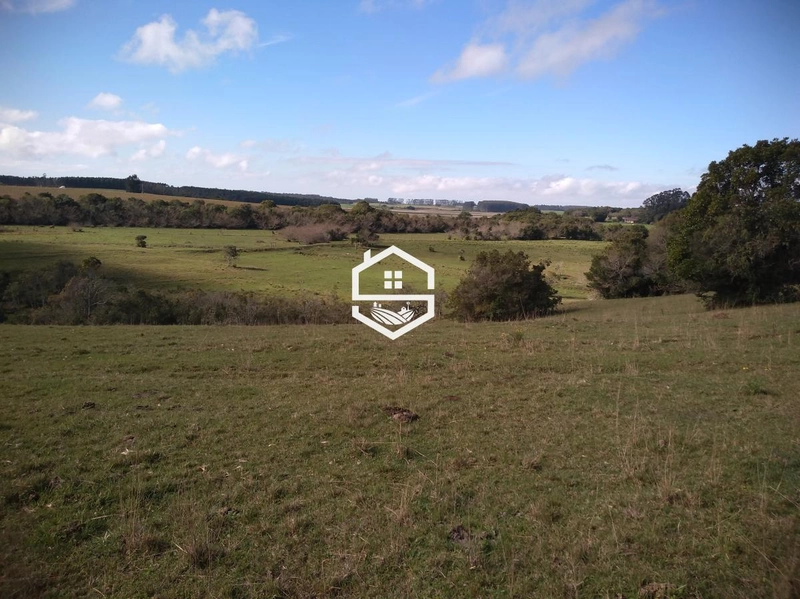 Área Rural para venda em Tapes: 2ª foto da galeria de imagens do imóvel