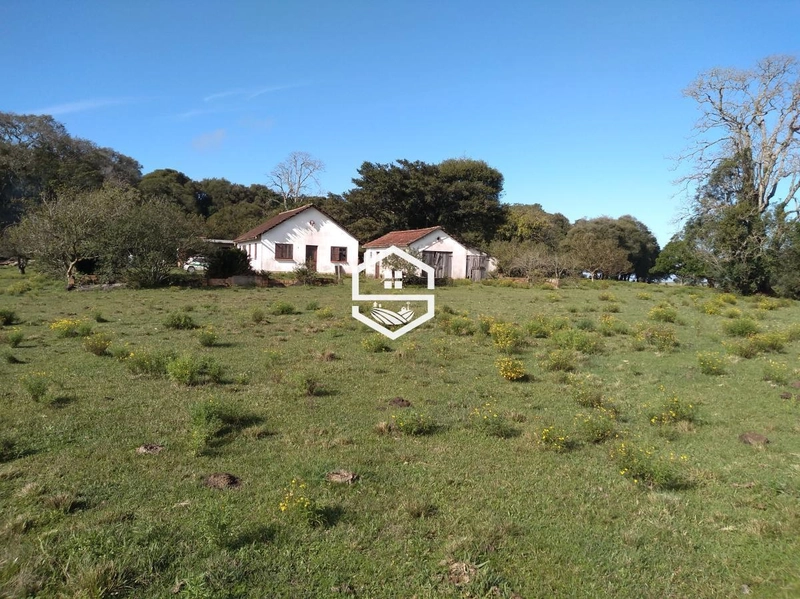 Área Rural para venda em Tapes: 7ª foto da galeria de imagens do imóvel