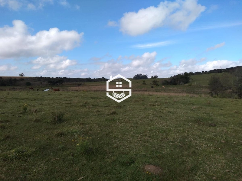 Área Rural para venda em Tapes: 3ª foto da galeria de imagens do imóvel