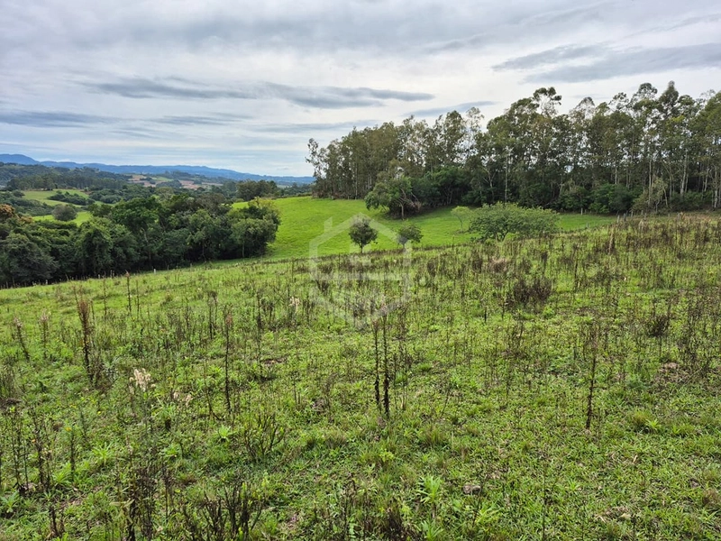 VEM FAZER O SEU SÍTIO AQUI!: 3ª foto da galeria de imagens do imóvel