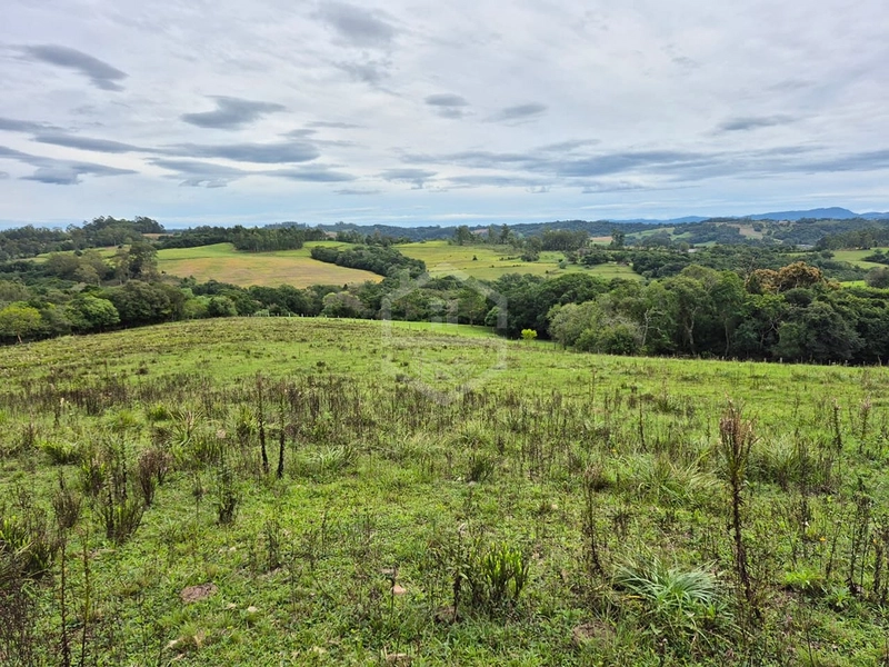 VEM FAZER O SEU SÍTIO AQUI!: 4ª foto da galeria de imagens do imóvel