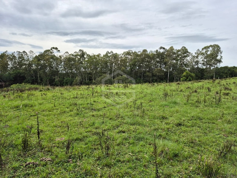 VEM FAZER O SEU SÍTIO AQUI!: 2ª foto da galeria de imagens do imóvel