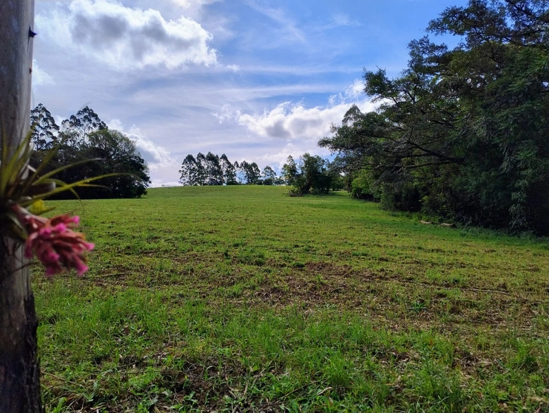 null: 15ª foto da galeria de imagens do imóvel