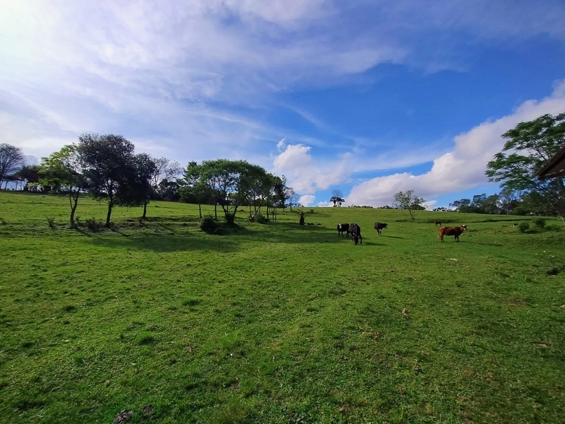 null: 20ª foto da galeria de imagens do imóvel