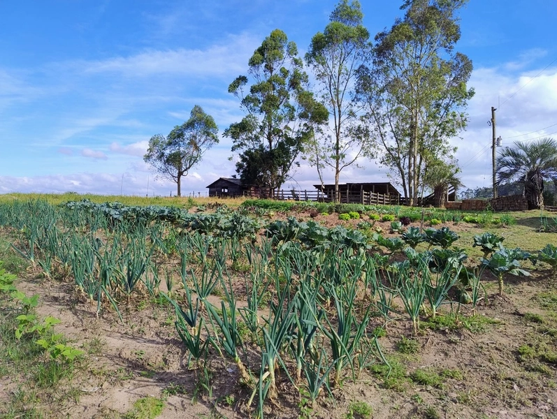 null: 27ª foto da galeria de imagens do imóvel