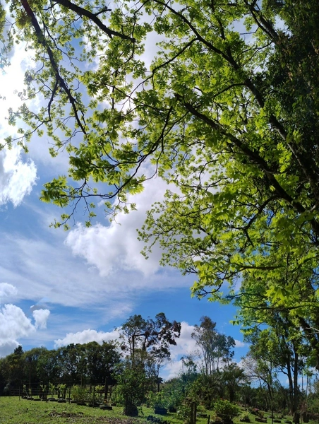 null: 38ª foto da galeria de imagens do imóvel