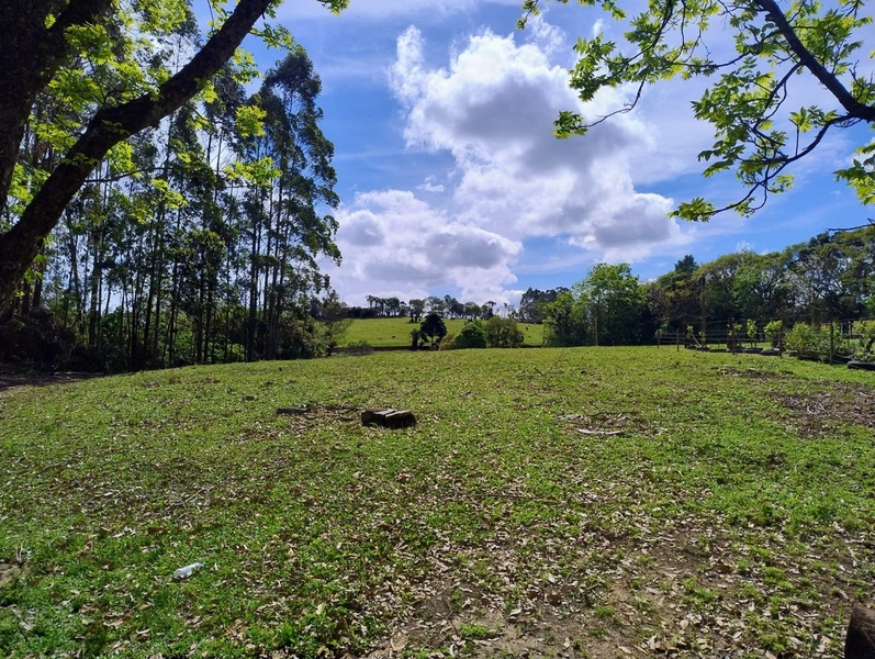 null: 26ª foto da galeria de imagens do imóvel