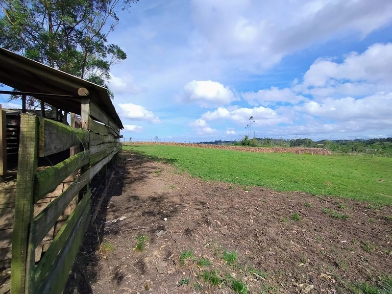 null: 7ª foto da galeria de imagens do imóvel