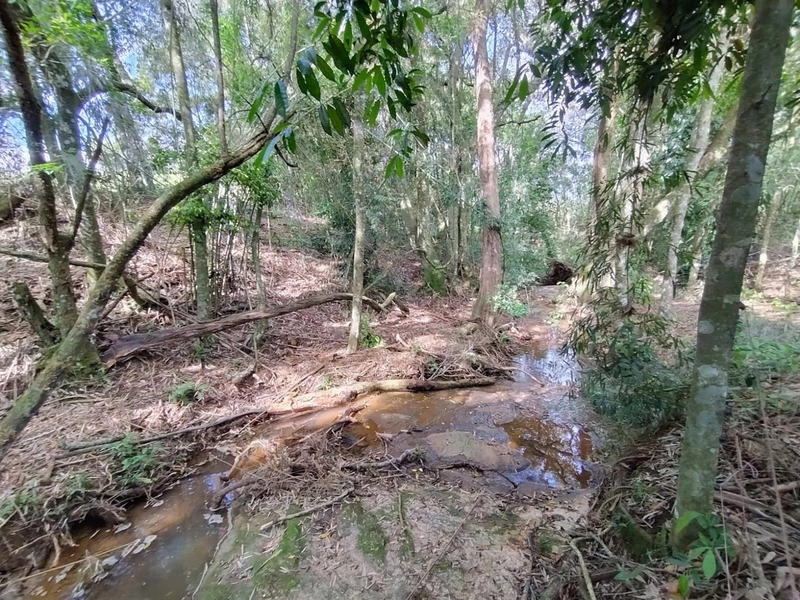 null: 21ª foto da galeria de imagens do imóvel