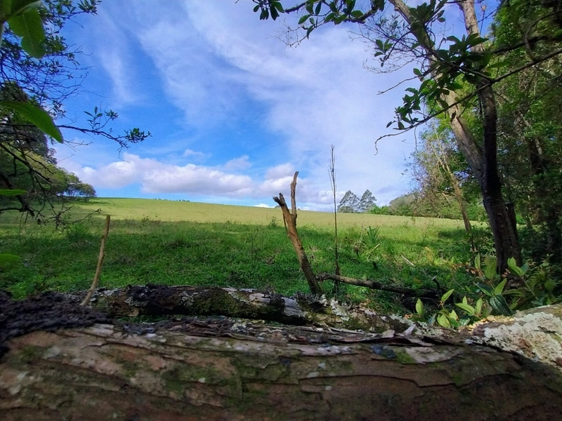 null: 16ª foto da galeria de imagens do imóvel