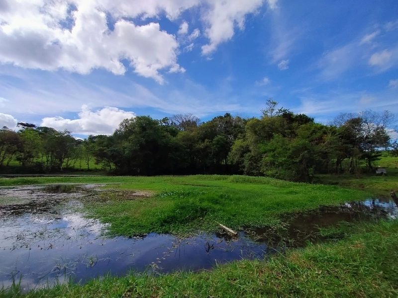 null: 2ª foto da galeria de imagens do imóvel