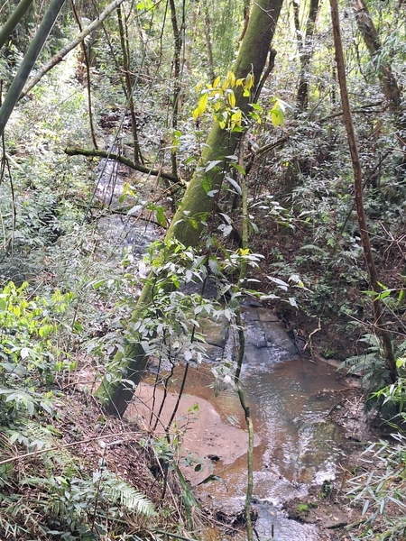 null: 22ª foto da galeria de imagens do imóvel