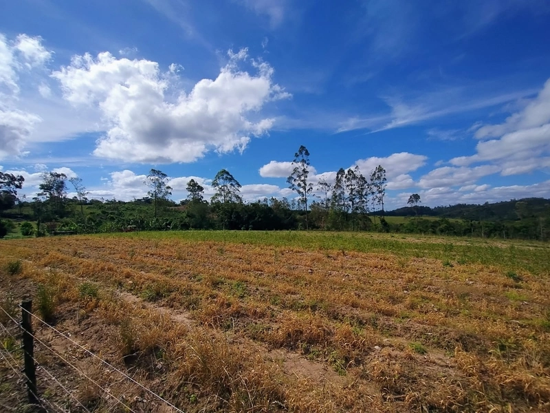 null: 12ª foto da galeria de imagens do imóvel