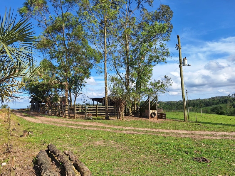 null: 5ª foto da galeria de imagens do imóvel