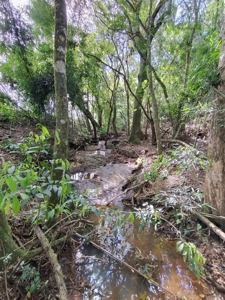 null: 23ª foto da galeria de imagens do imóvel