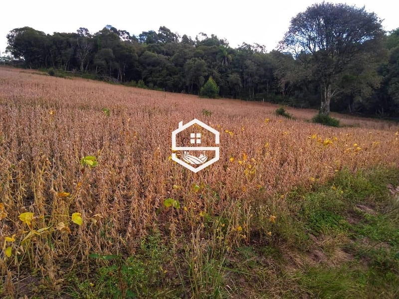 Área Rural para venda em Dom Feliciano: 3ª foto da galeria de imagens do imóvel