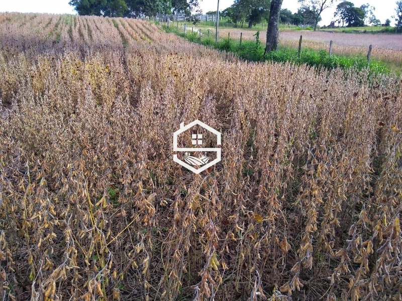 Área Rural para venda em Dom Feliciano: 1ª foto da galeria de imagens do imóvel