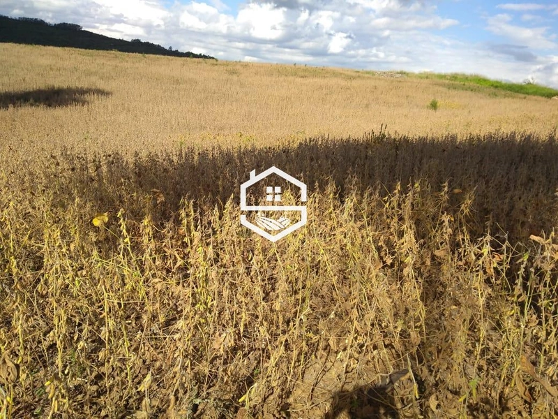 Área Rural para venda em Dom Feliciano: 2ª foto da galeria de imagens do imóvel