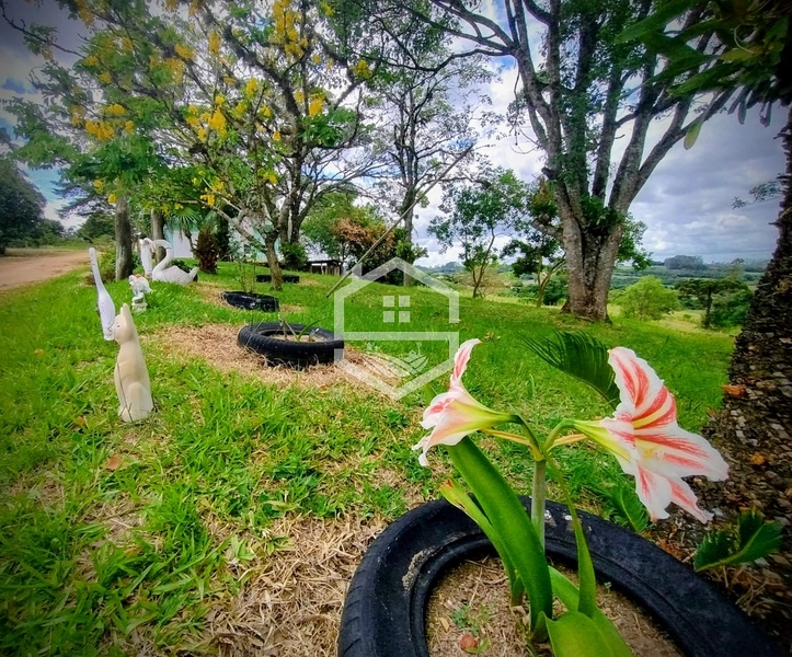 Ponto comercial á 14km do centro de Camaquã.: 26ª foto da galeria de imagens do imóvel